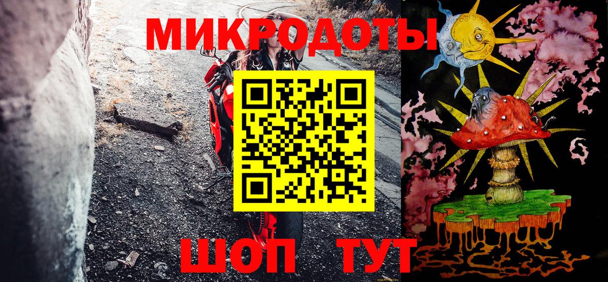 Псилоцибиновые грибы Psilocybe Губаха
